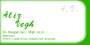 aliz vegh business card